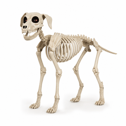 Possessed Skeleton Dog Halloween Decoration Posable Full-Body Skeleton Puppy with Glowing Red E